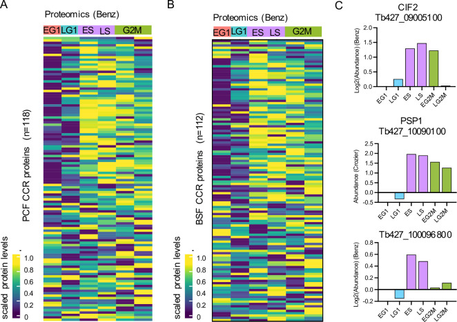 Figure 2—figure supplement 4.