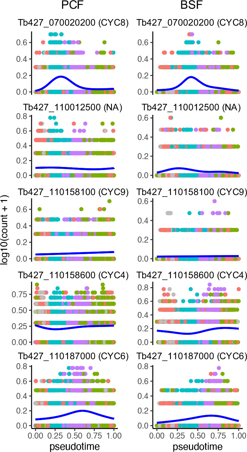 Figure 4—figure supplement 2.