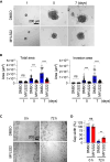 Figure 6