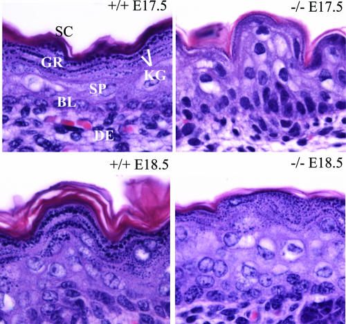 FIG. 9.