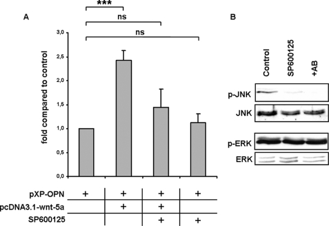 FIGURE 9.