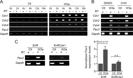 FIGURE 3.