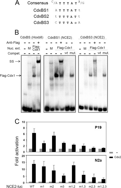 FIGURE 5.