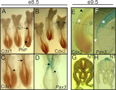 FIGURE 1.