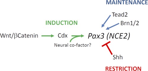 FIGURE 7.