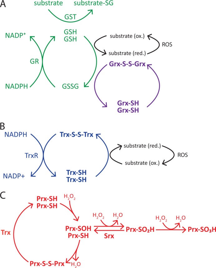 FIGURE 2.