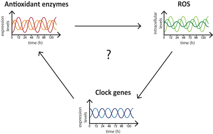 FIGURE 3.