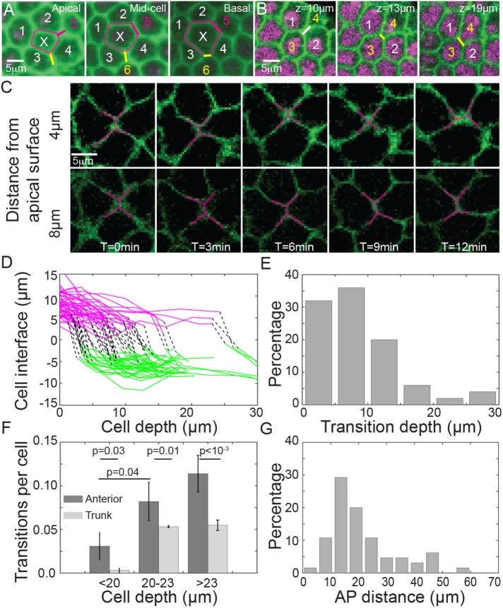 FIGURE 3: