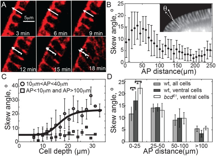 FIGURE 6: