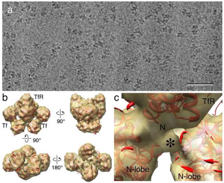 Fig. 2