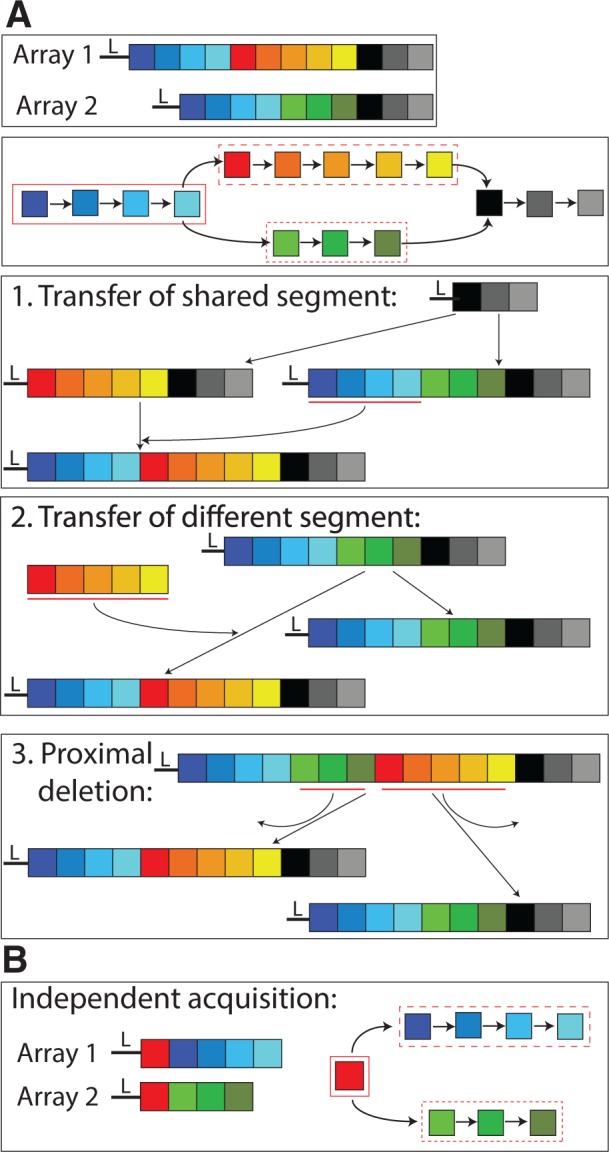 Fig. 1.—