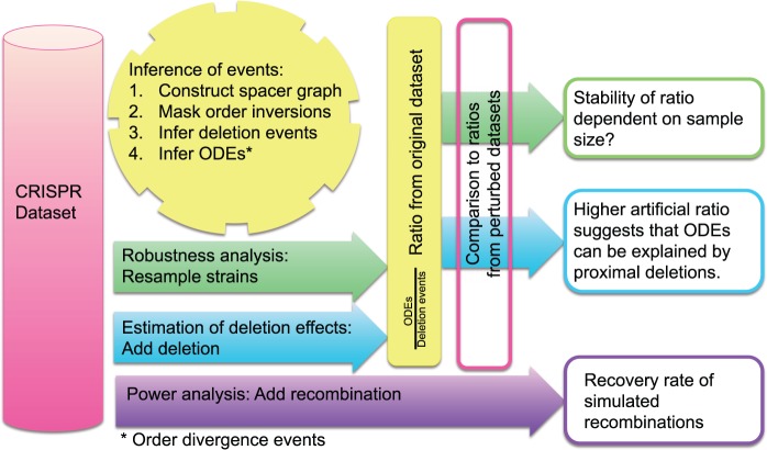 Fig. 2.—