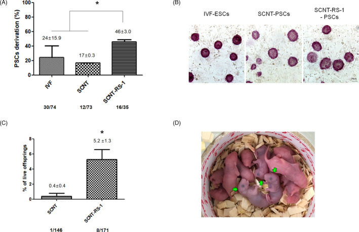 FIGURE 3