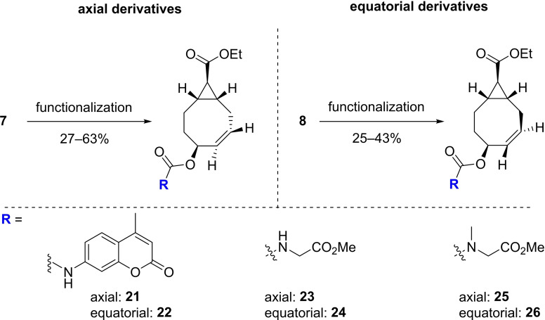 Scheme 5