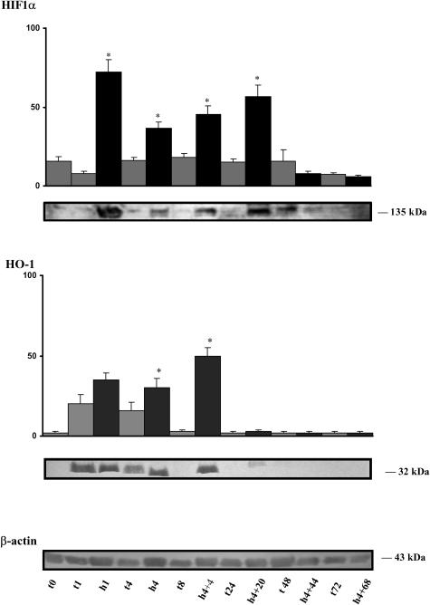 Fig 1.