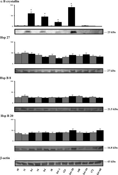 Fig 2.