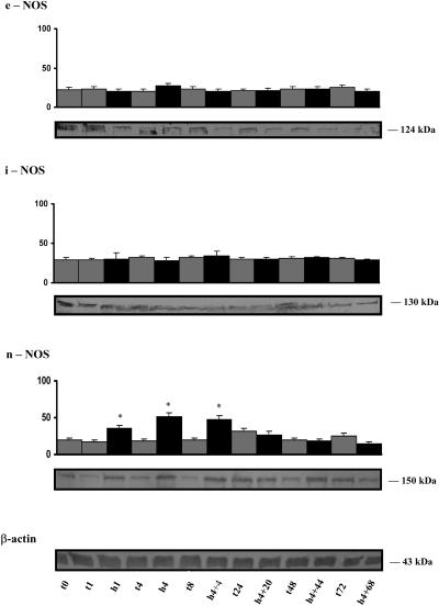 Fig 3.