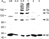 FIG. 2.