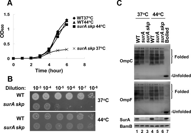 FIG 1