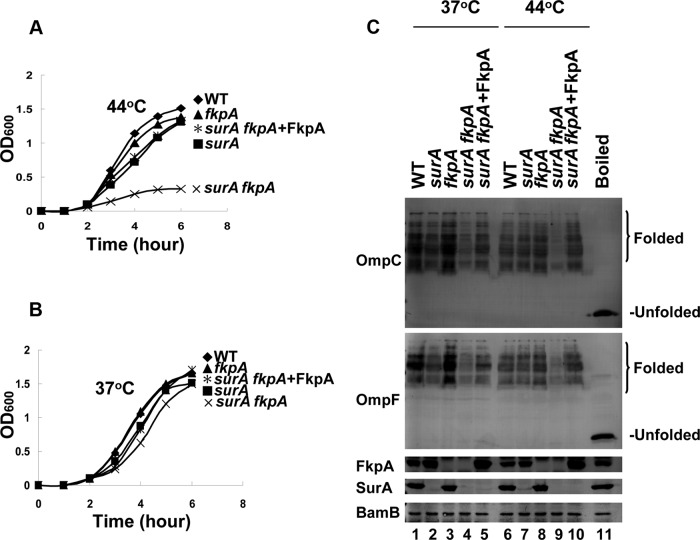 FIG 3