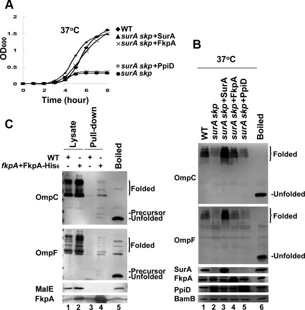 FIG 2