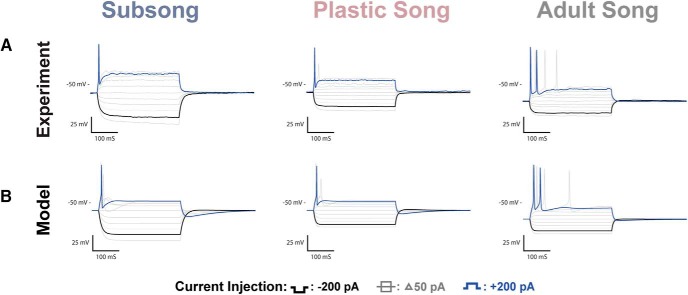 Figure 5.