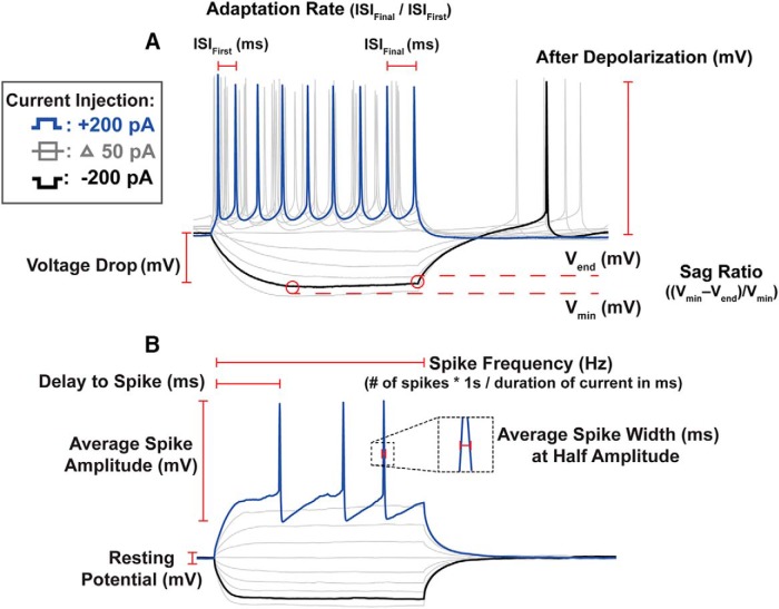 Figure 2.