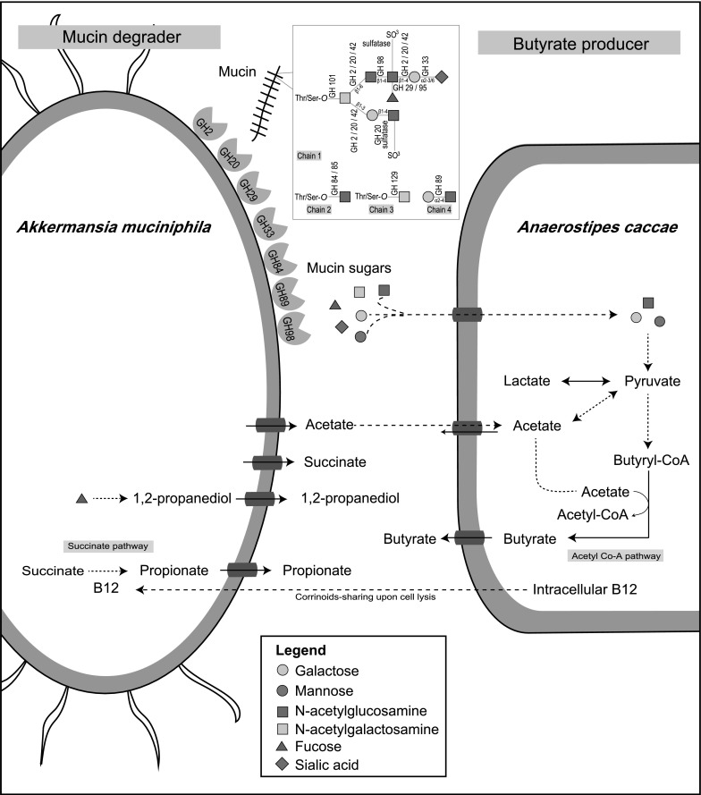 Fig. 4