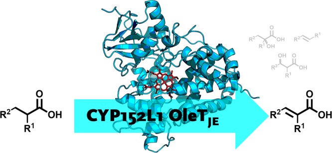 graphic file with name cs-2018-03733n_0009.jpg