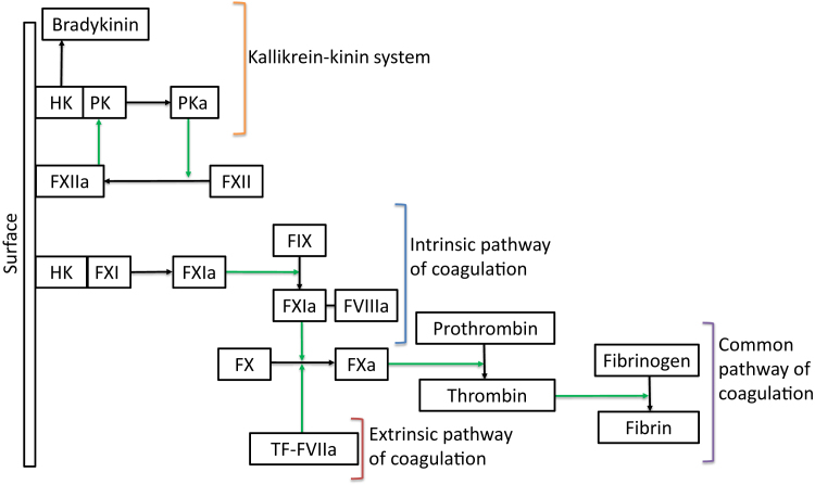 Figure 2