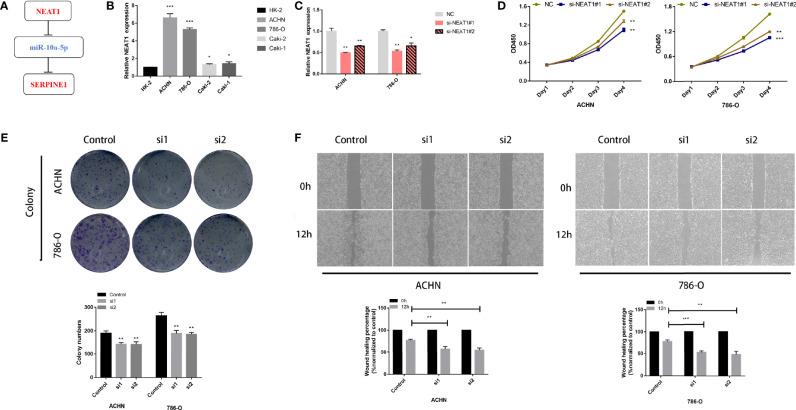 Figure 7