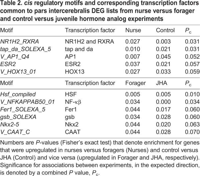 graphic file with name jexbio-218-119420-i2.jpg