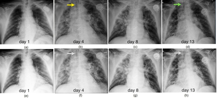 Fig. 7