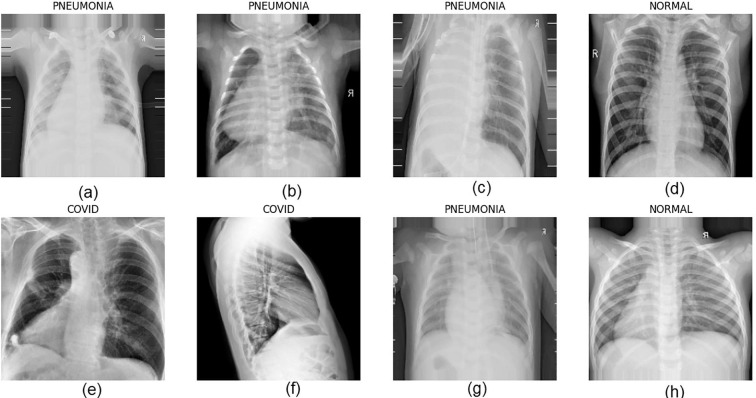 Fig. 10