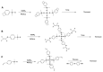 Scheme 12