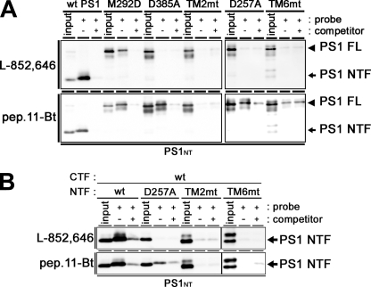 FIGURE 7.