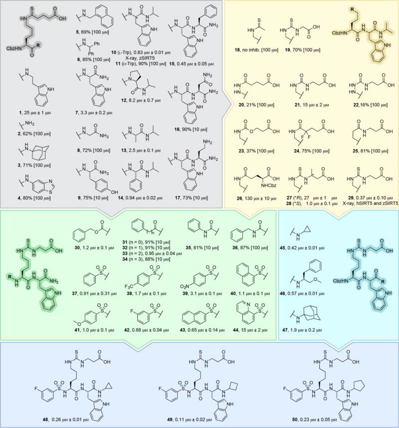 Scheme 2