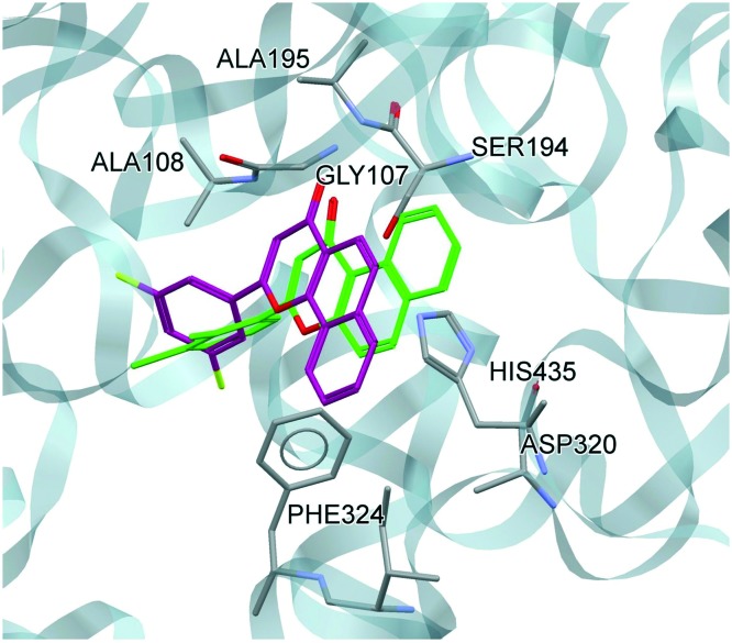 Fig. 7