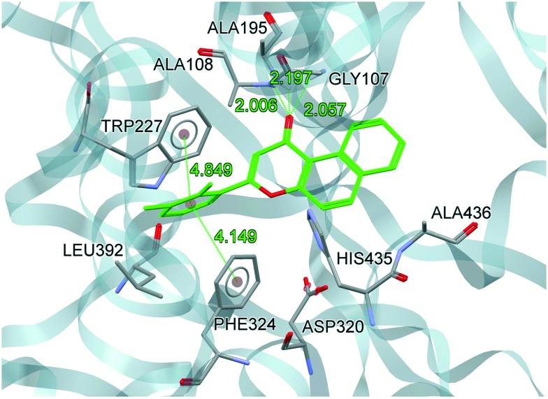 Fig. 6