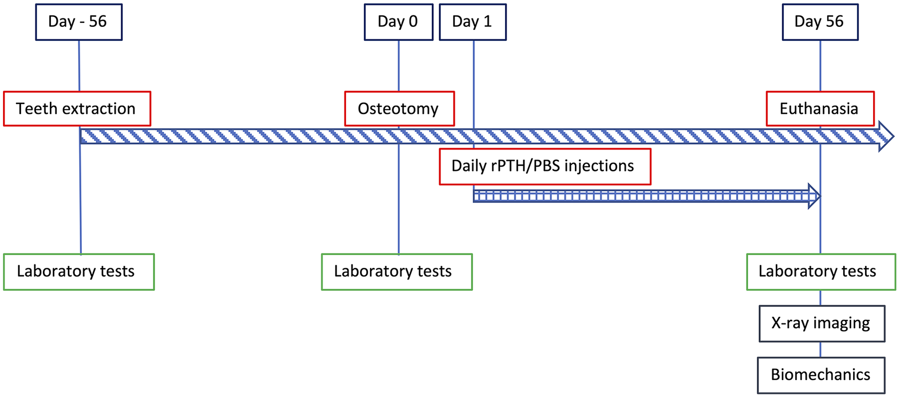 Diagram 1.