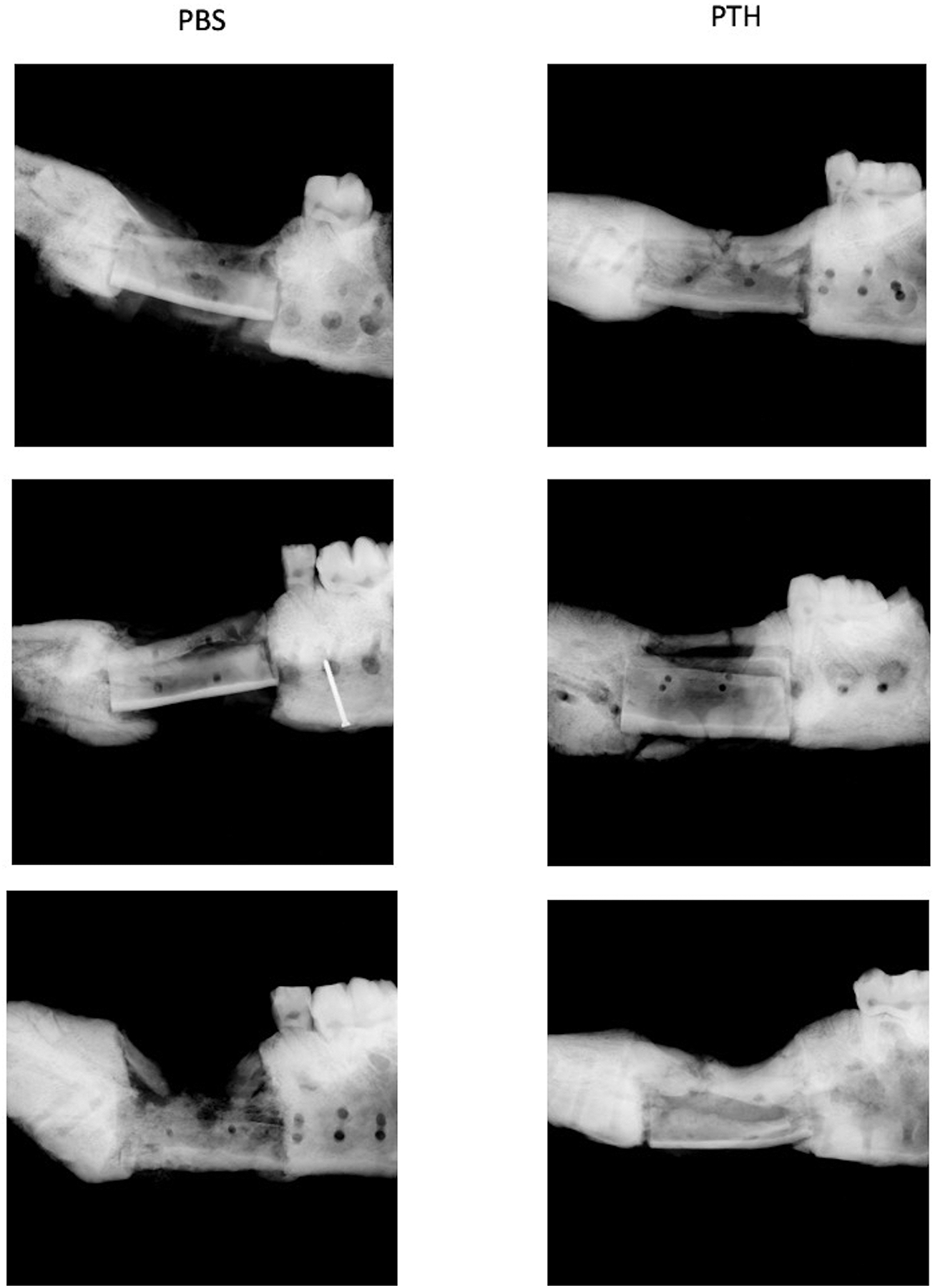 Figure 2: