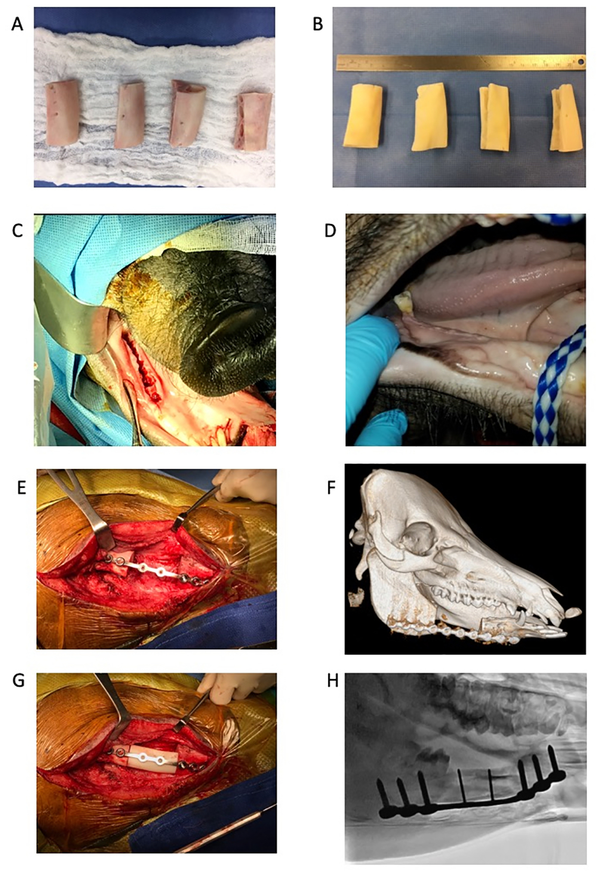 Figure 1: