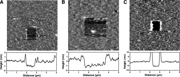 FIG. 1.