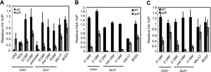 FIG. 2.