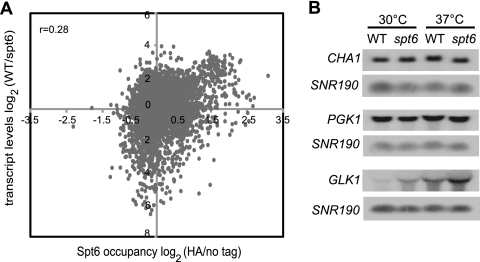 FIG. 5.