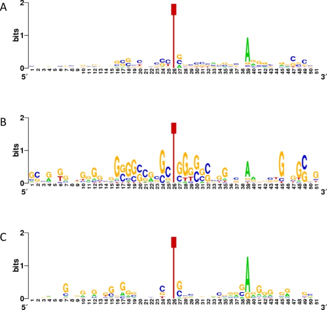 Figure 7.