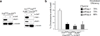 Extended data figure 1