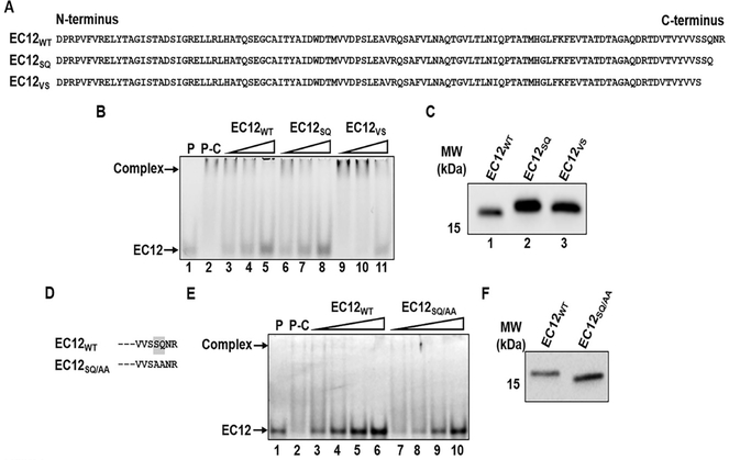 Figure 6: