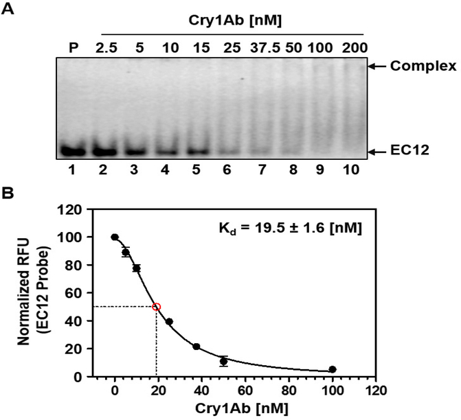 Figure 3: