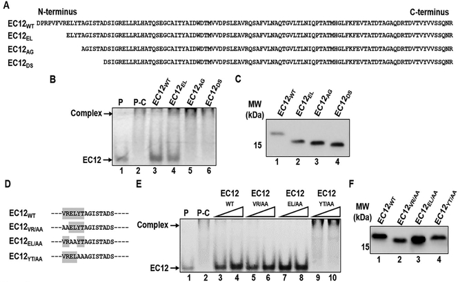 Figure 5: